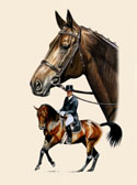 Dressage Elegance